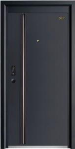 2021¿ʽȫ
